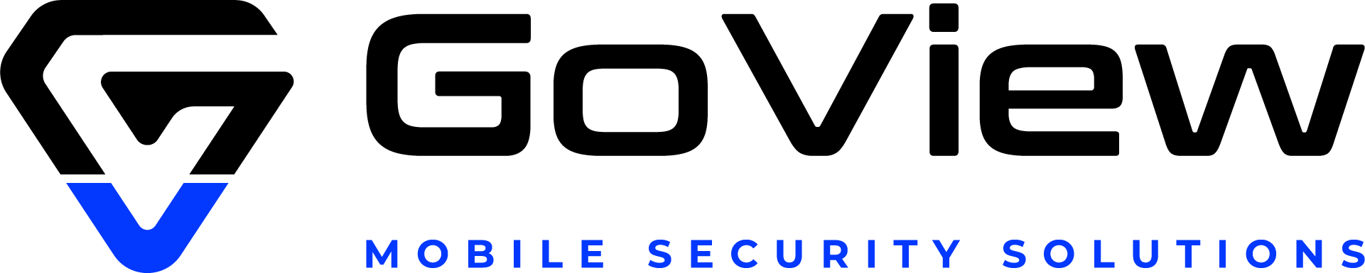 GoView, LLC logo