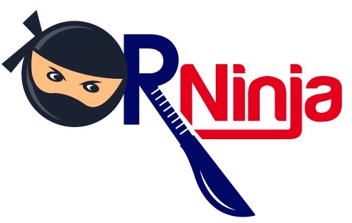 Ninja Solutions Inc. logo