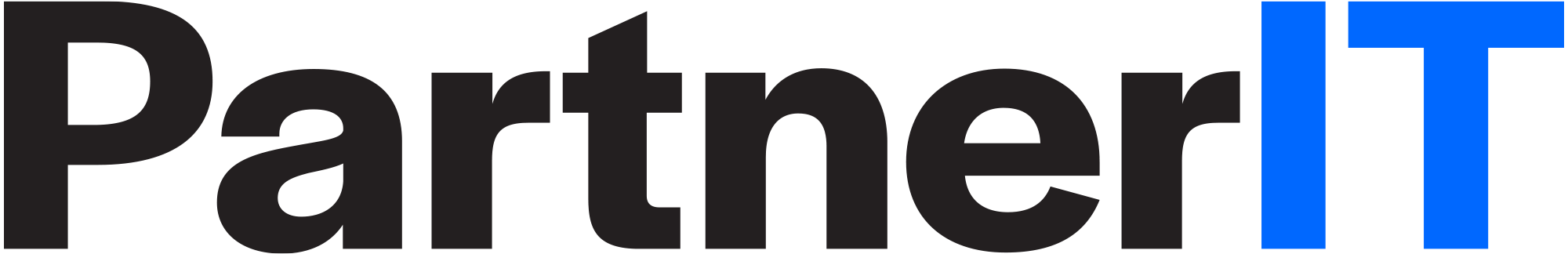PartnerIT Corporation logo
