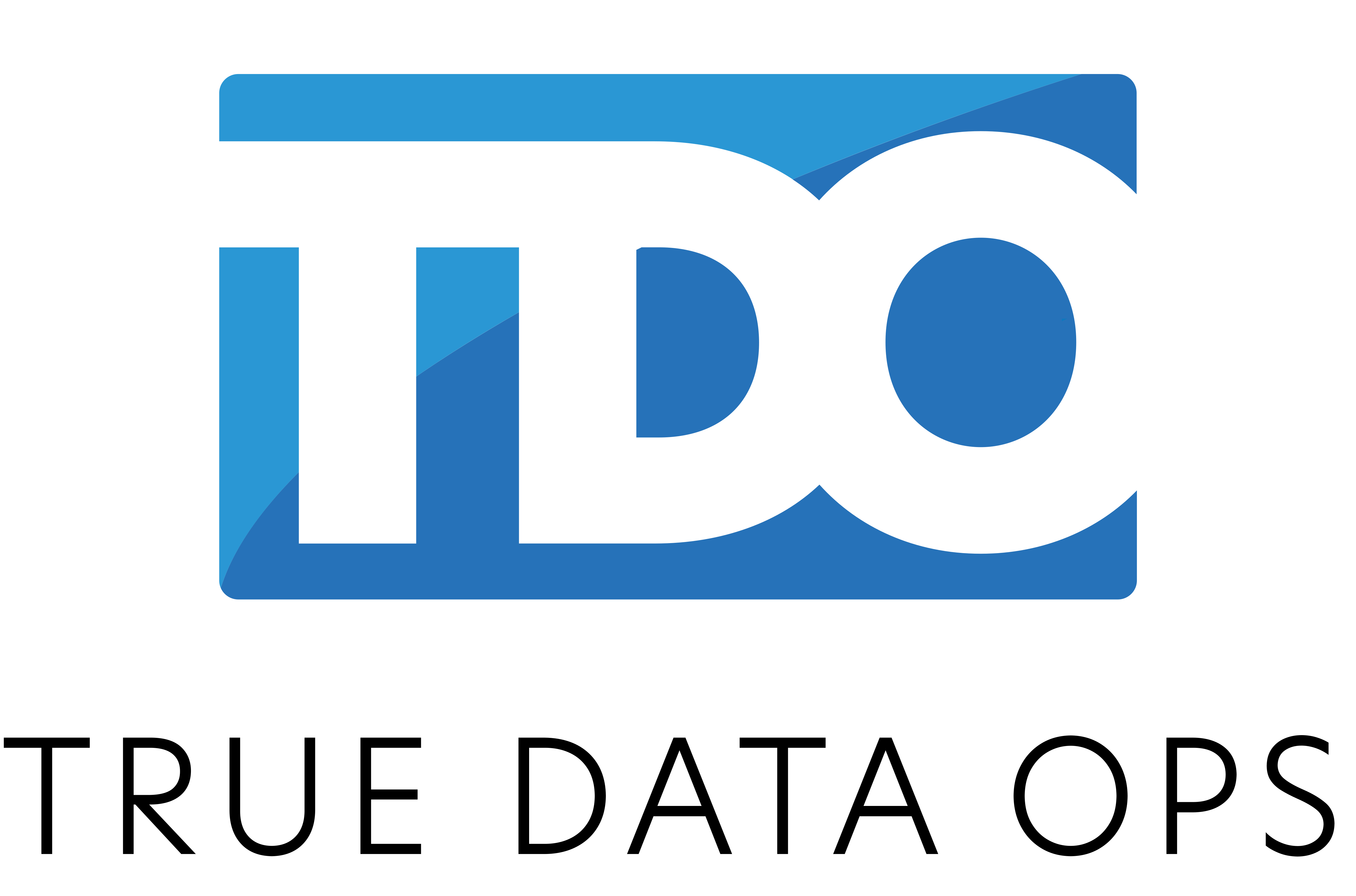 True Data Ops logo